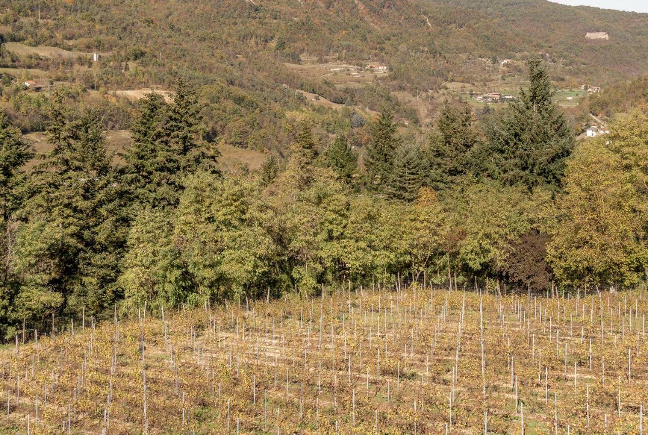 Tenuta Pian D'Attesio - Agriturismo Castelletto Soprano ภายนอก รูปภาพ
